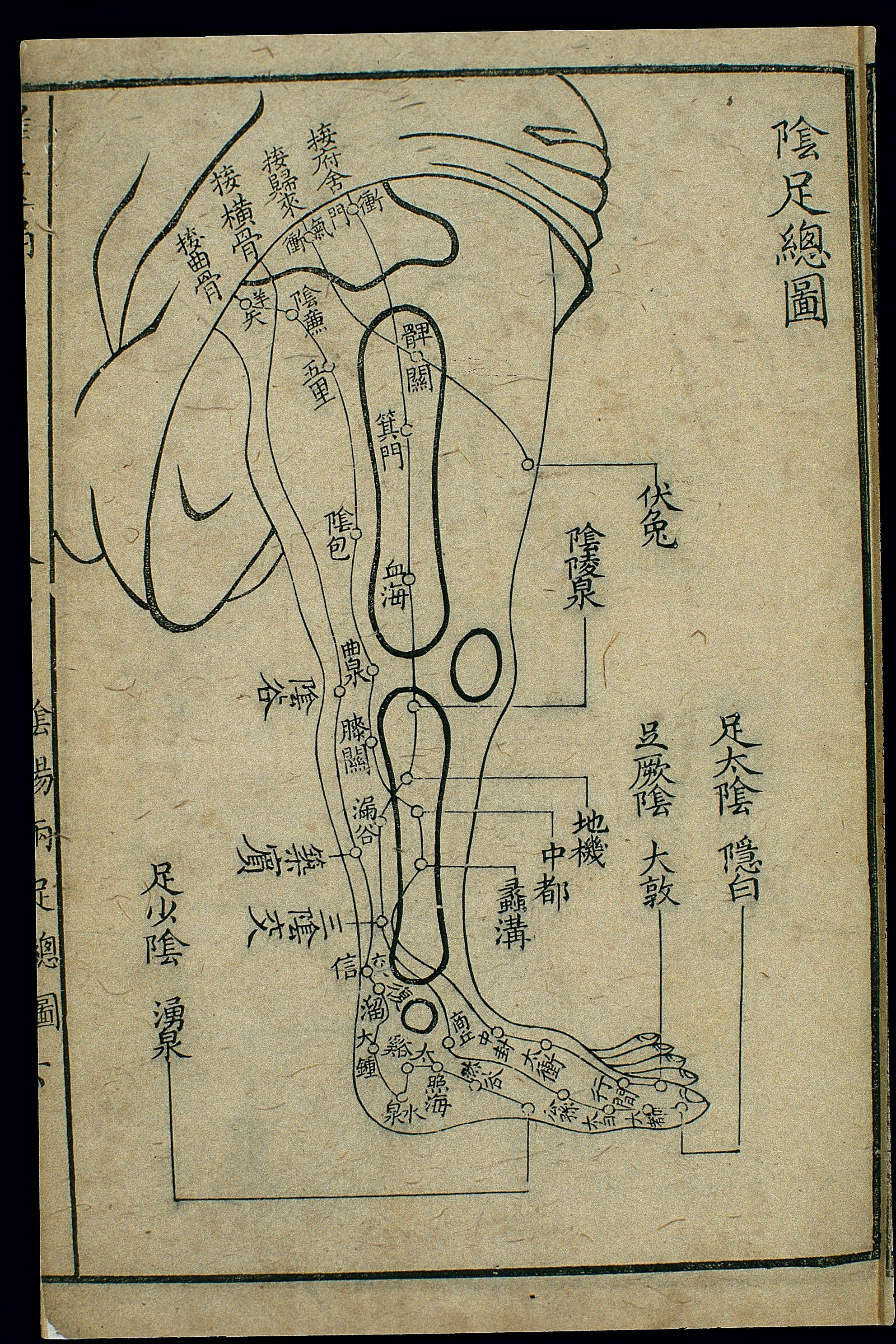 足三陰經腧穴總表古圖